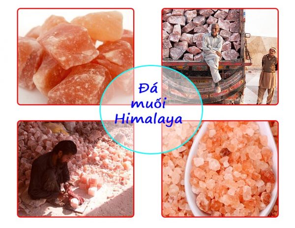 da-muoi-himalaya-nhap-khau