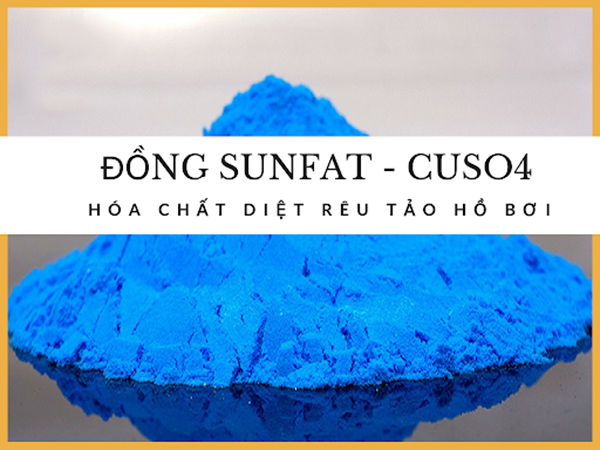 Tại sao phải xử lý nước hồ bơi? Quy trình xử lý nước hồ bơi như thế nào? 1